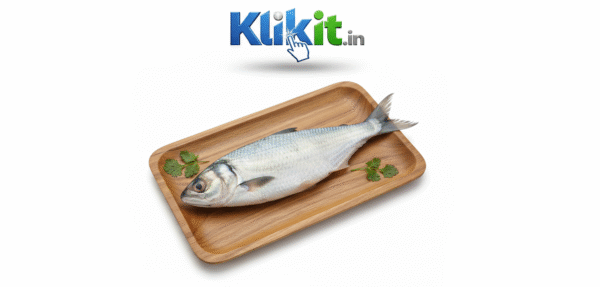 Elish / ইলিশ